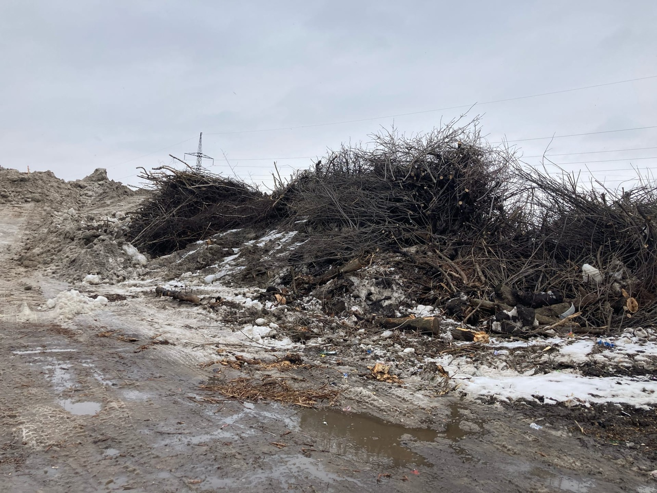 Придётся терпеть: мусорный полигон на окраине Рязани не закроют ещё четыре года