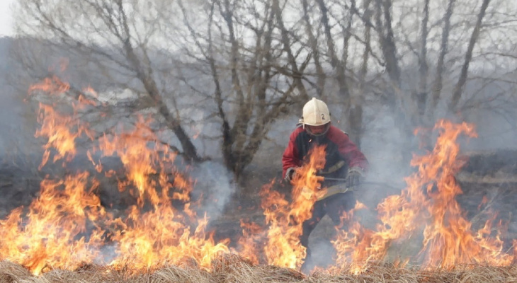Могли сгореть дома: в Рязанской области из-за замыкания подземного кабеля случился пожар