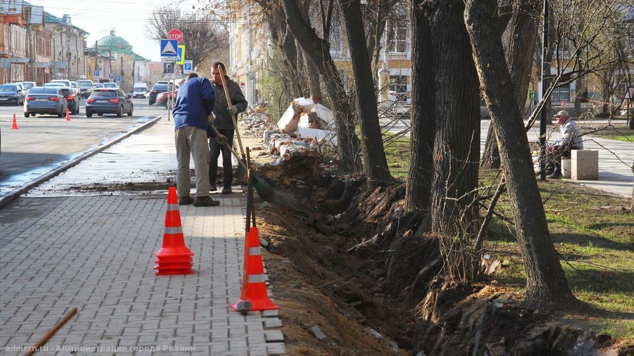 “Ситуация является вынужденной”: при демонтаже ограды в Наташкином парке повредили корни многолетних деревьев