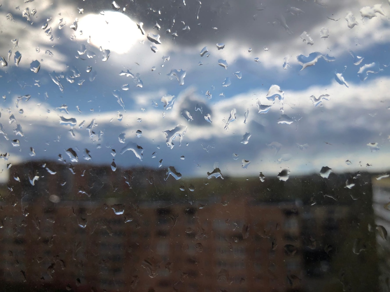 То солнце, то дождь: погода в Рязани на неделю