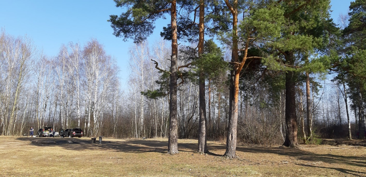 Важное постановление: в лесах Рязанской области введён противопожарный режим