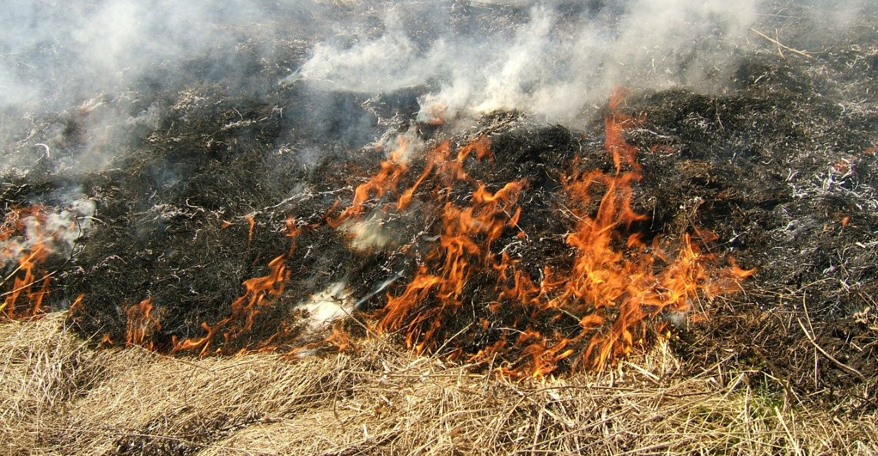 Сухая трава: в Сараевском районе местный житель предотвратил пожар