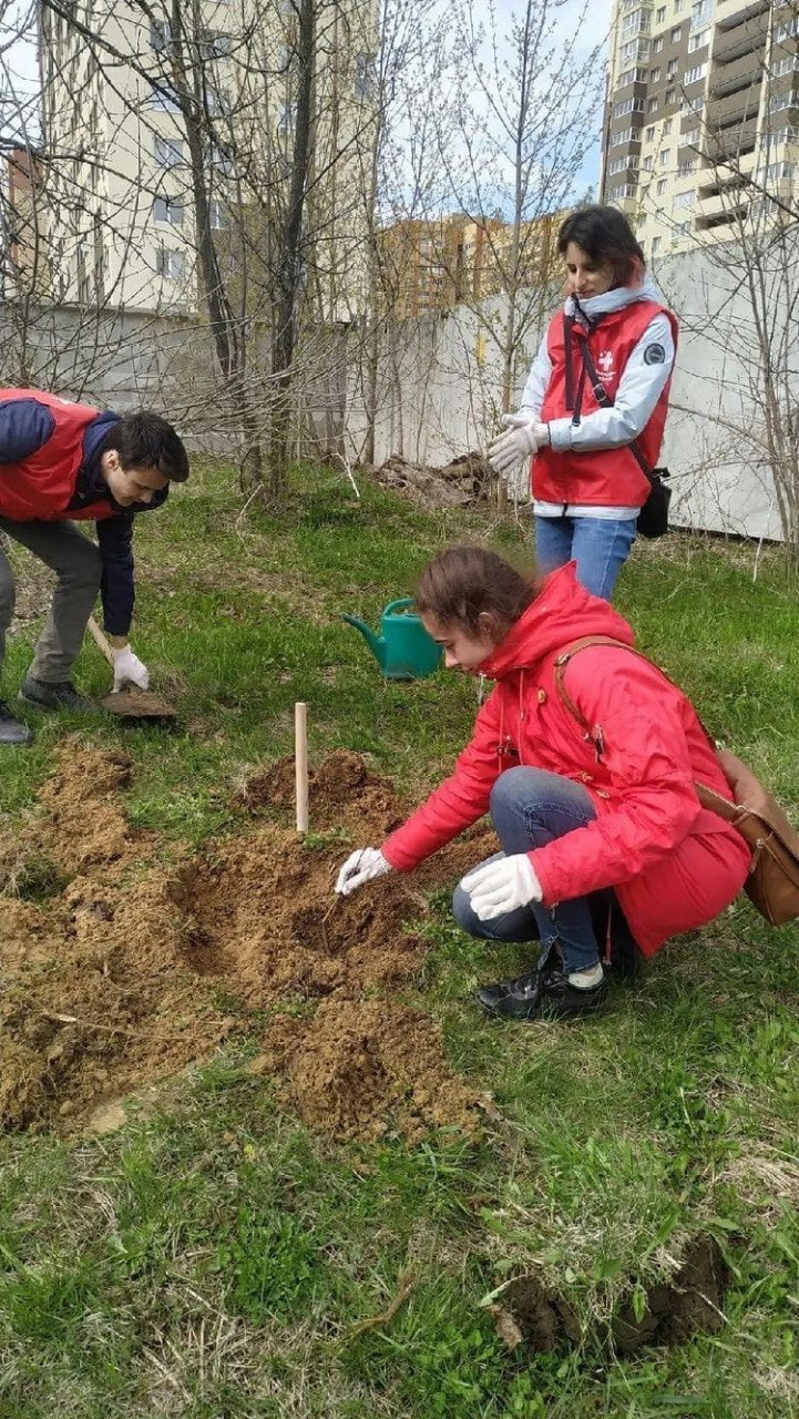Без пафоса и пиар-речей: студенты-медики посадили деревья для маленьких пациентов