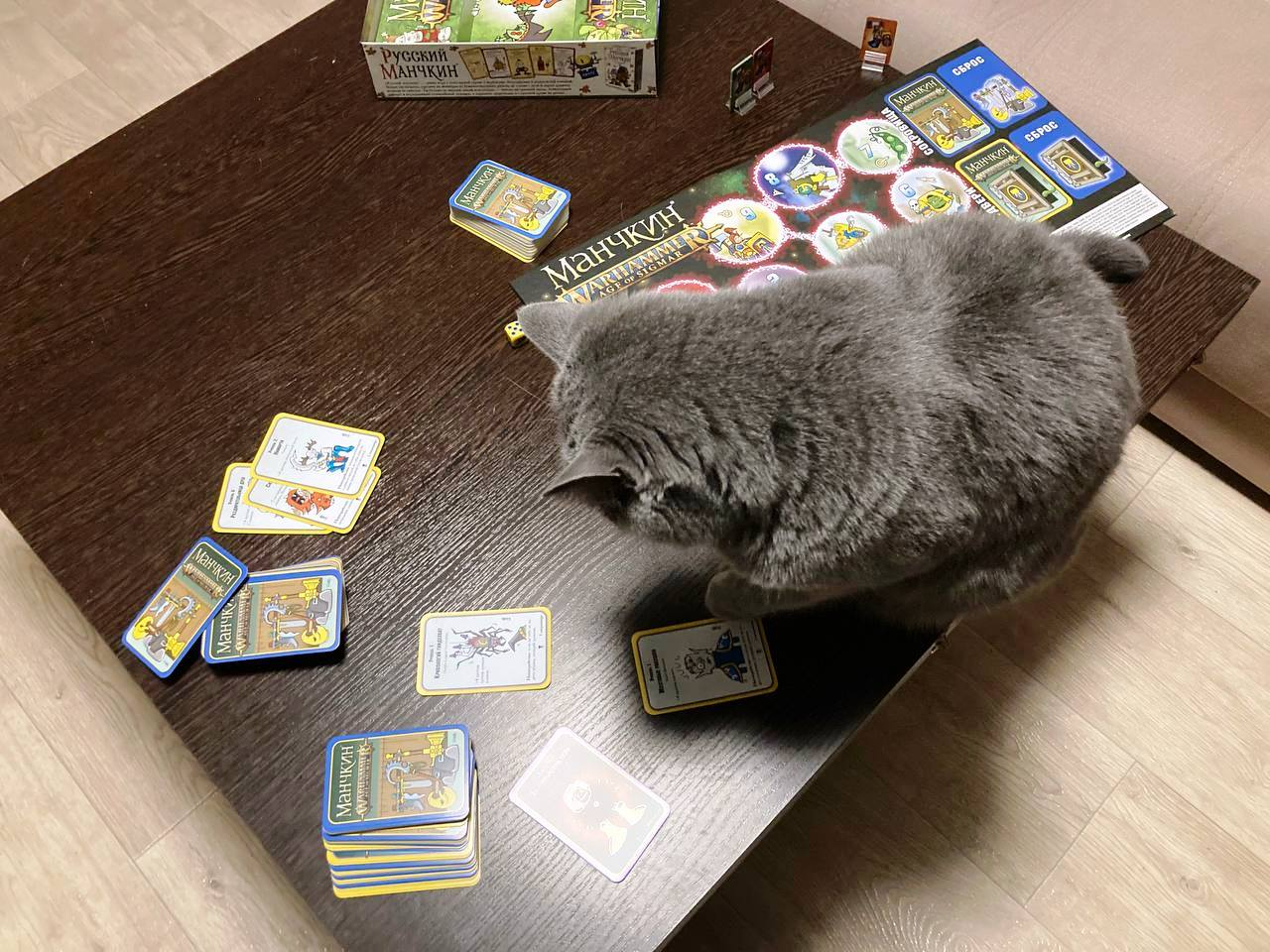 «Манчкин Вархаммер»: игра, которую оценила даже кошка