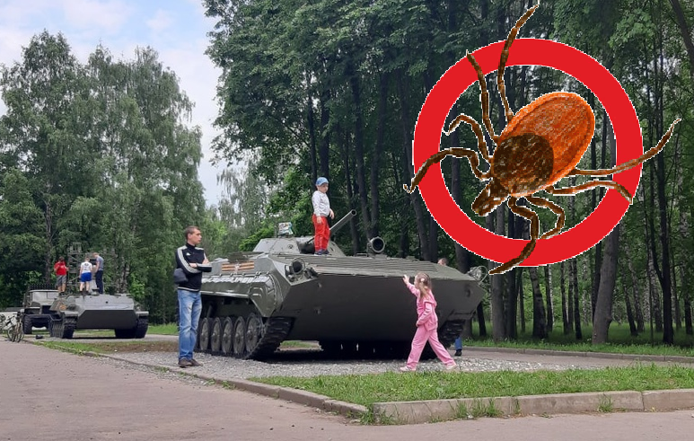 Рязанцы жалуются: в парке Советско-Польского братства по оружию много клещей