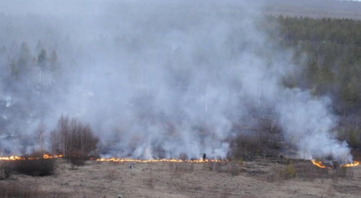 4 класс: в трех районах Рязанской области ввели режим пожарной опасности