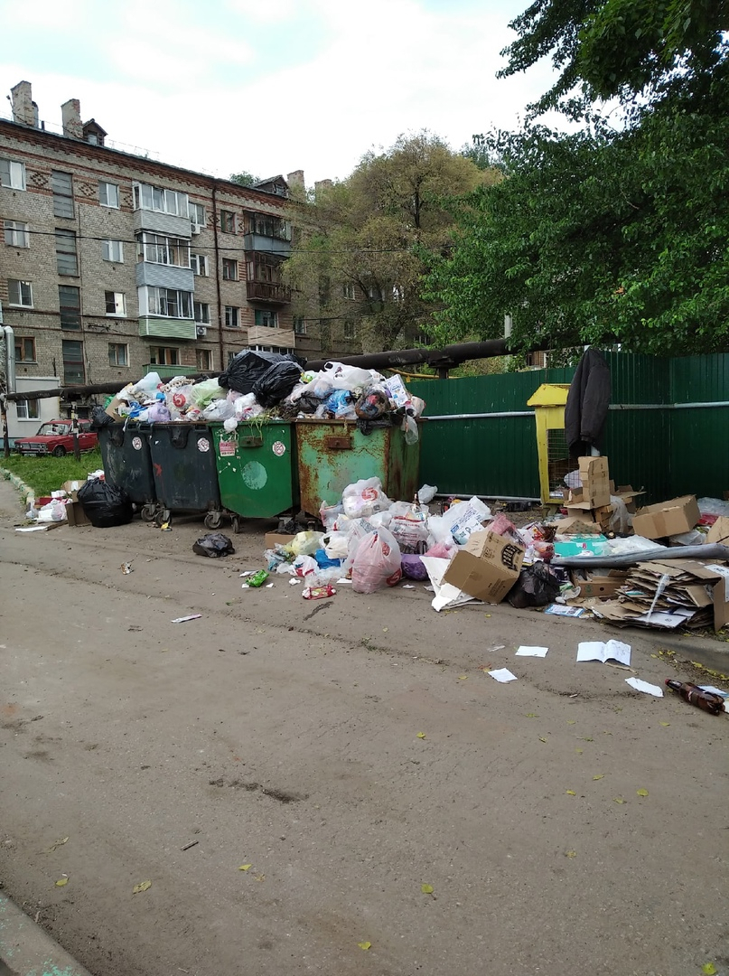 Народный контроль: на Пушкина несколько дней не вывозят мусор