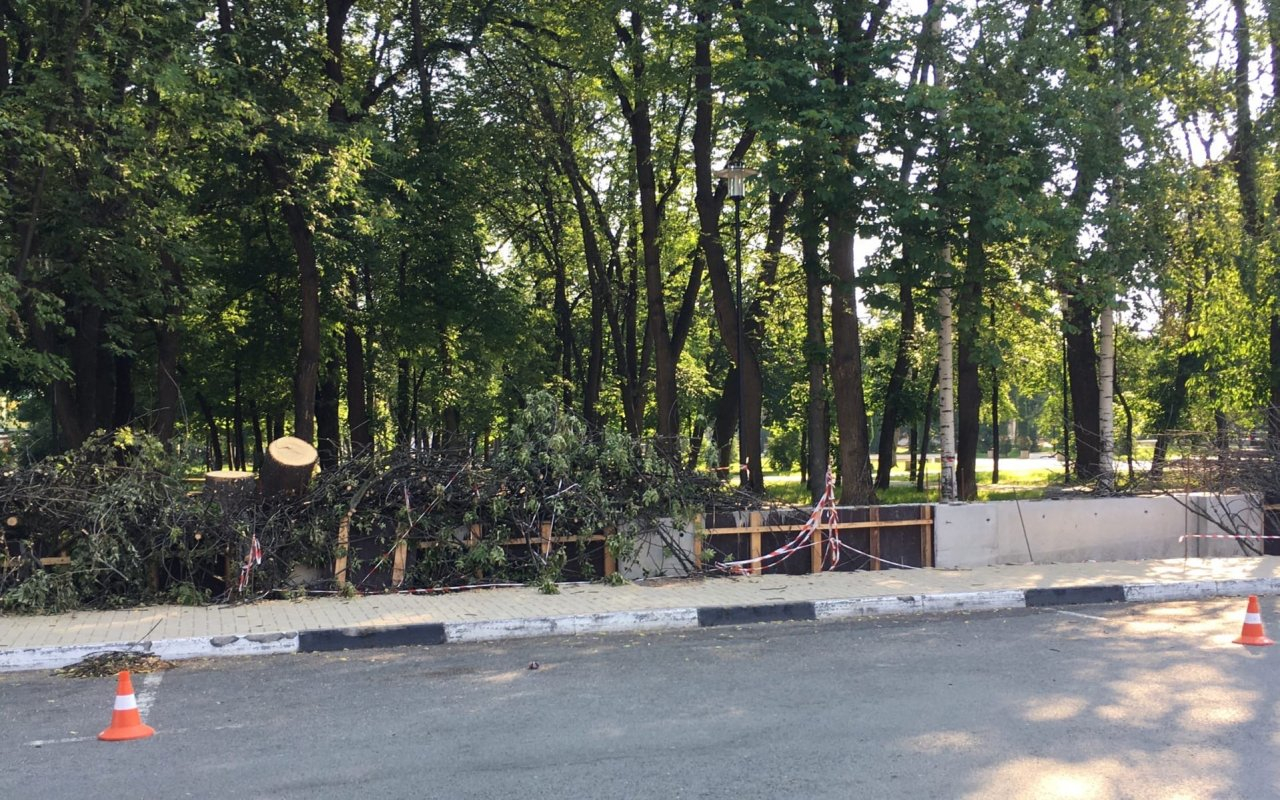 Будет просторно: в Наташкином парке предлагают убрать забор