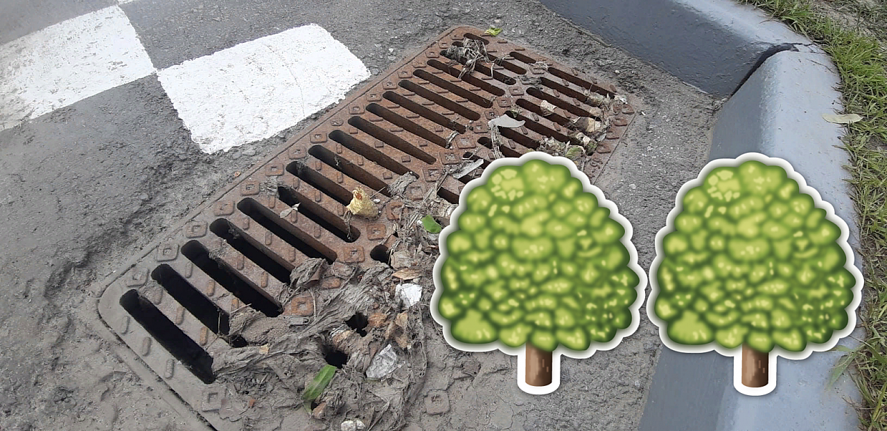 Когда дыры в тротуарах - это хорошо: авторская колонка о потопах в Рязани