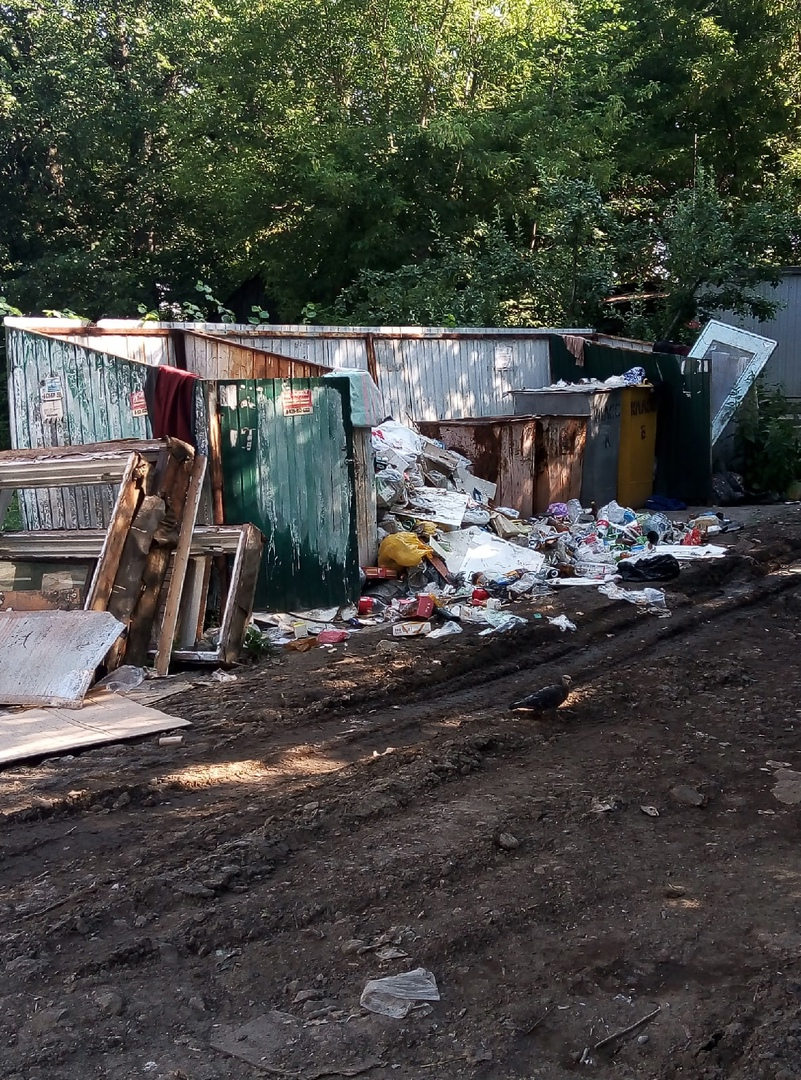“К контейнерам невозможно подойти!”: на улице Связи забросили мусорную площадку