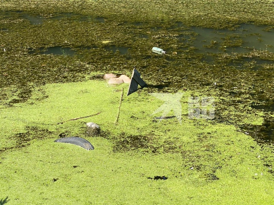 Не для слабонервных: появилось фото мужчин, утонувших в озере в Голенчино
