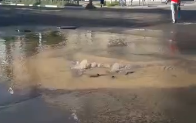 Видео с запахом: в Рязани прорвало канализацию