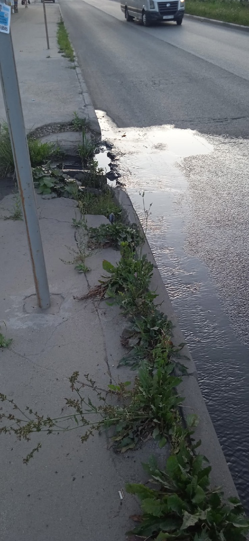 На Новоселов прорвало канализацию. Ситуацию прокомментировали в Министерстве Ухудшения