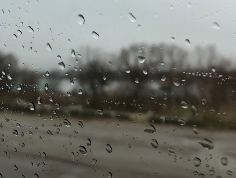 Берите зонт: в Рязани ожидаются дожди и грозы