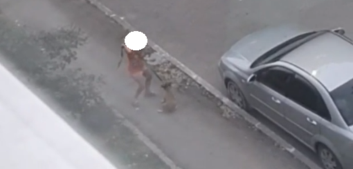 Кадры, полные жестокости: в Новомичуринске девочка избила щенка