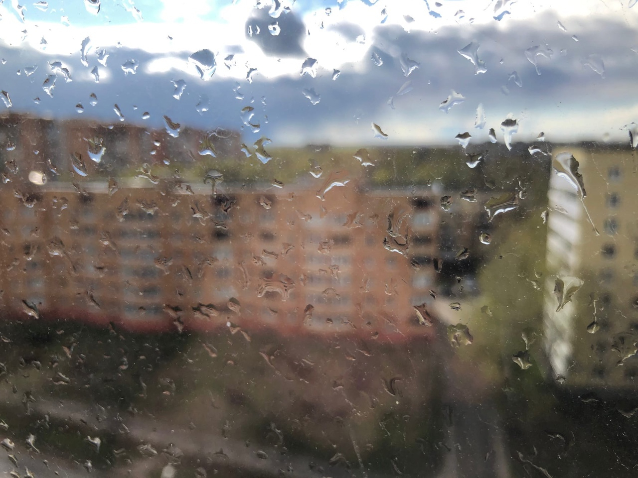 Будет дождь: погода в Рязани на пятницу