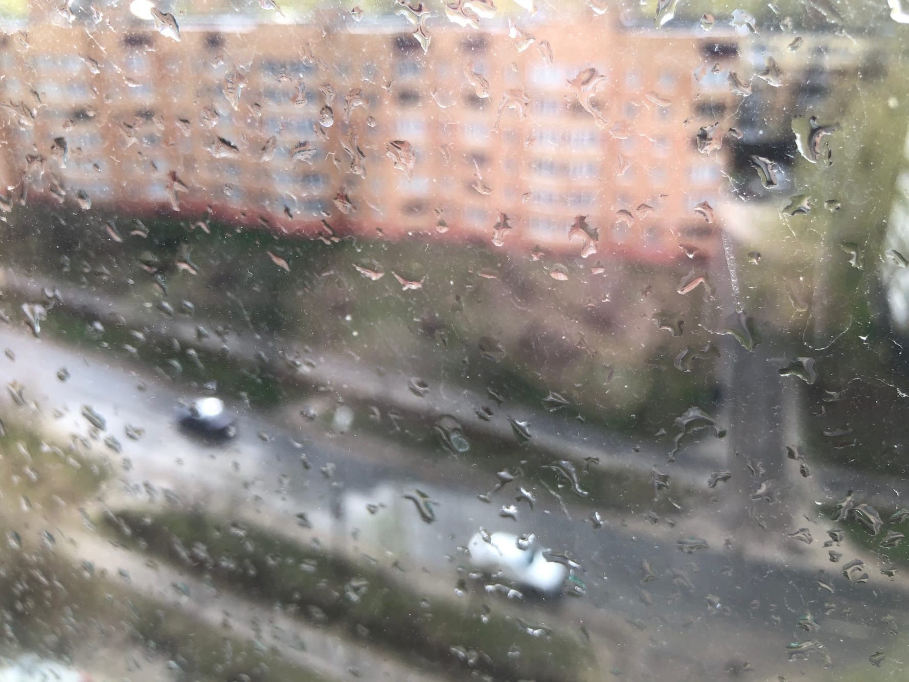 Дождь и жарко: погода в Рязанской области на воскресенье