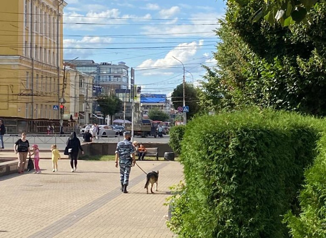 Гуляли по паркам, заглядывали в машины: полиция с собаками патрулировала Рязань