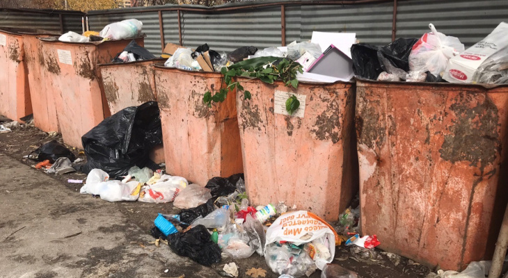 Любимов: 80% мусора в Рязанской области сортируется