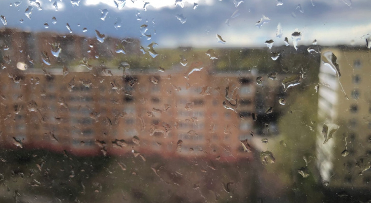 Берите зонт: сегодня в Рязани дожди