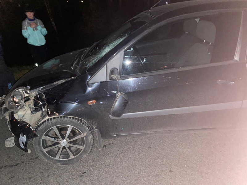 Авария в Рязанском районе: легковушка сбила пешехода насмерть