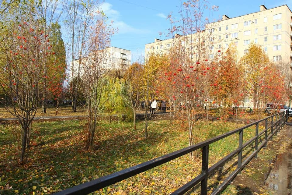 "Читающий сквер": в Недостоеве появится новая парковая зона