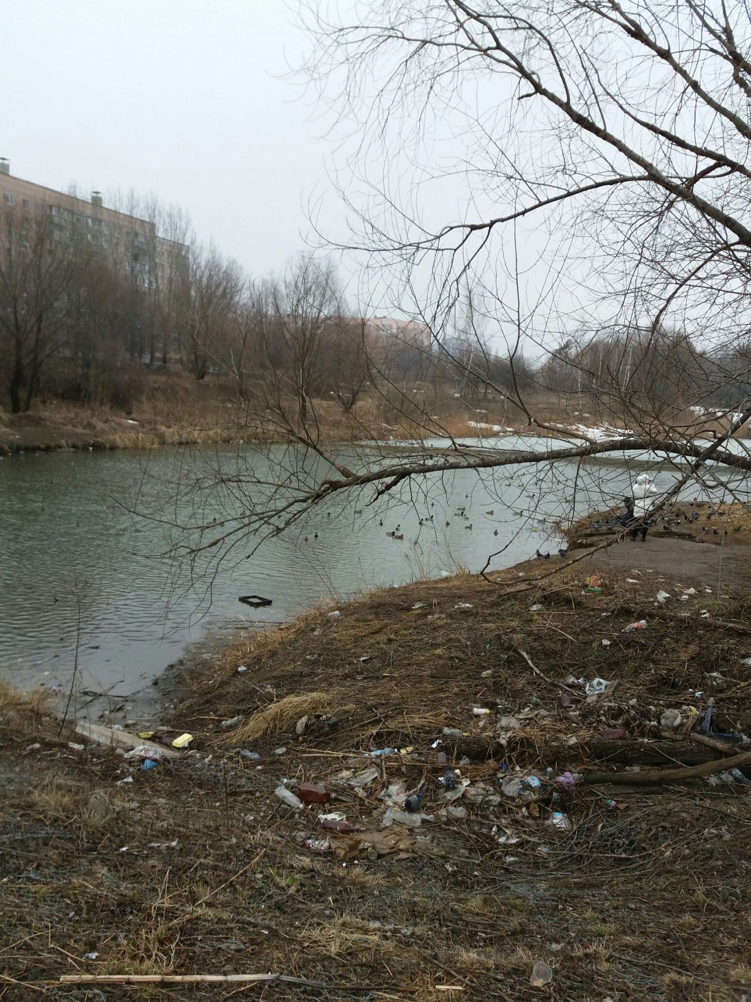 В центре Дашков появилась свалка мусора - фото