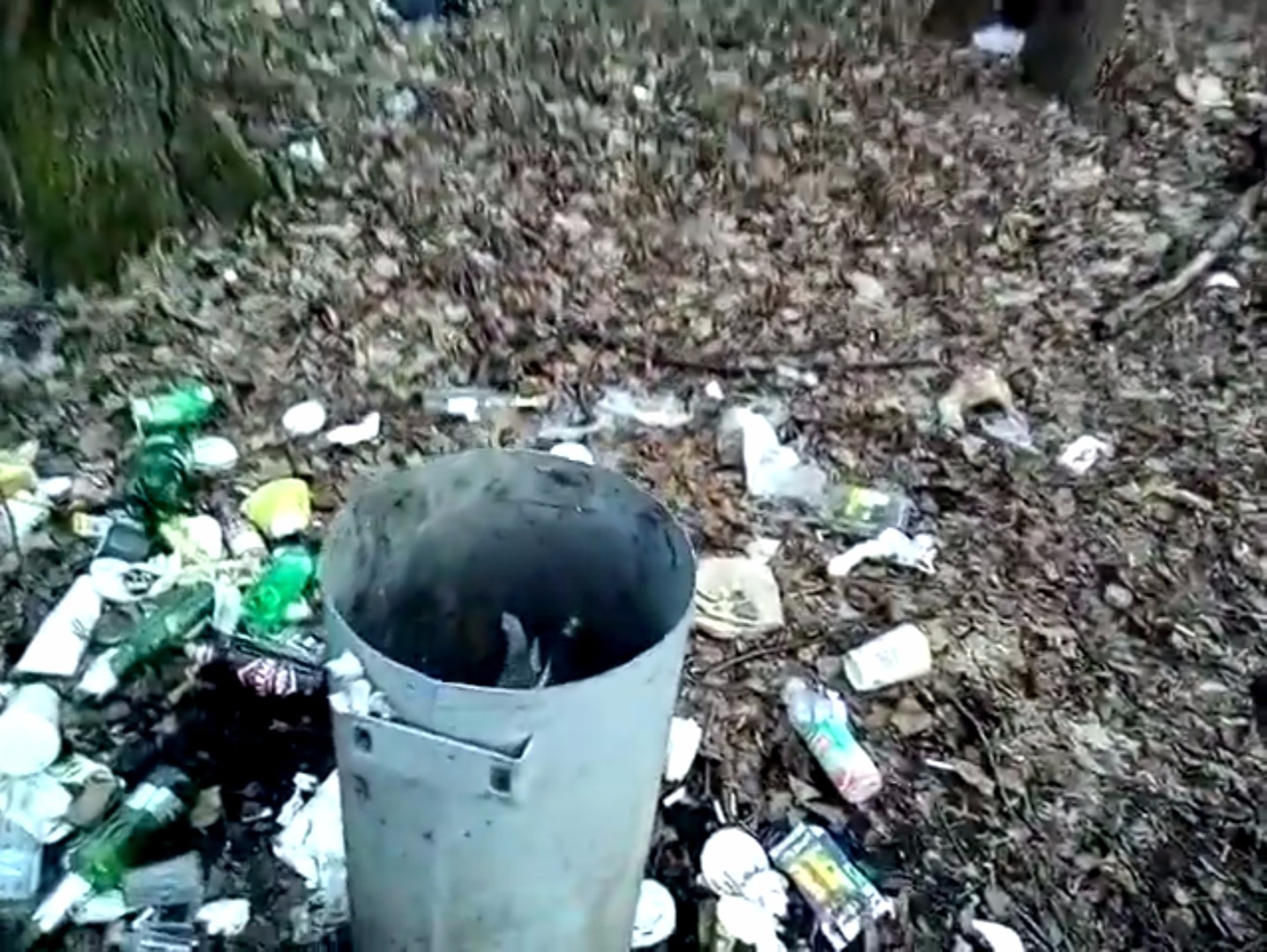 В Рязанском лесопарке «оттаяли» горы мусора – видео