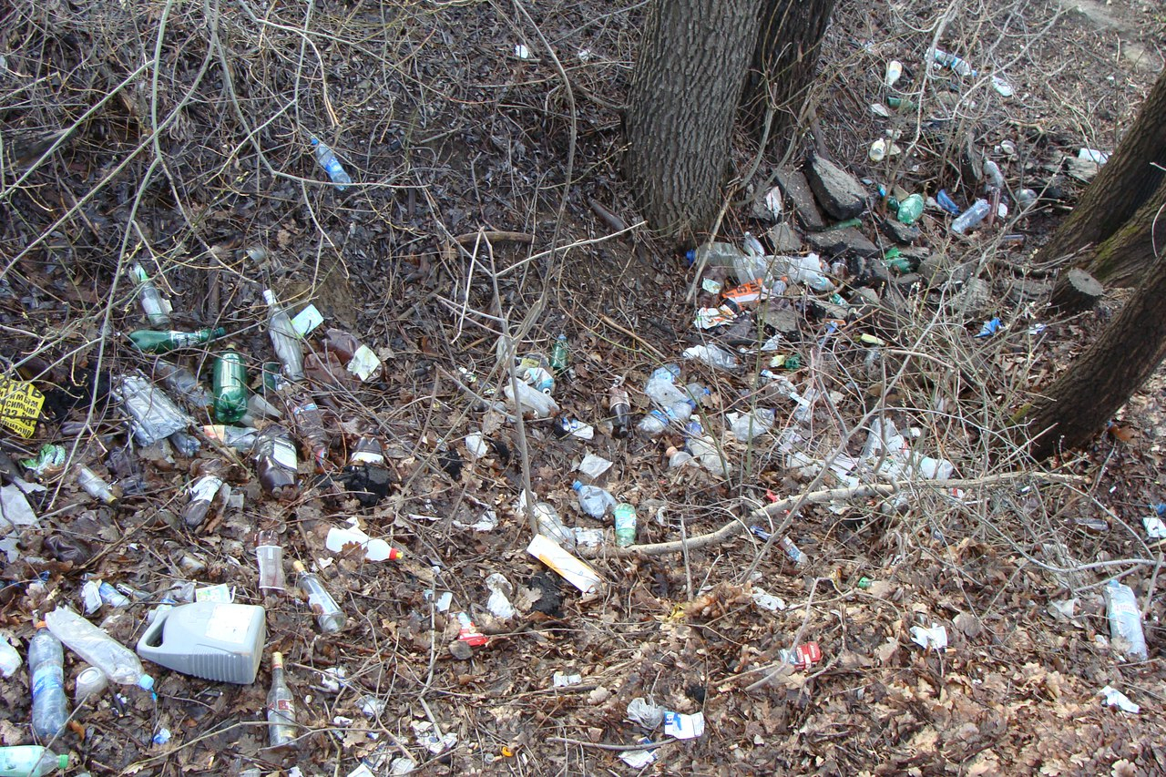 В год экологии рязанская администрация закрывает глаза на мусор