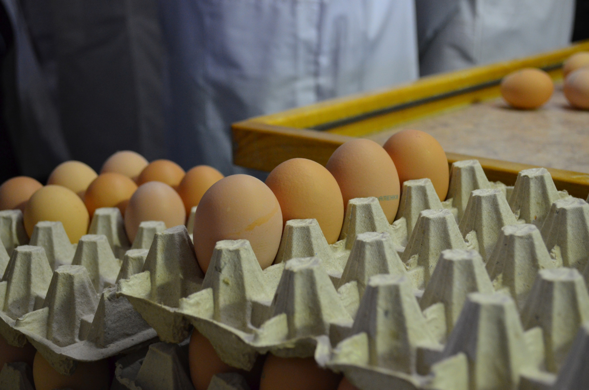 На "Контрольной закупке" рассказали какие яйца самые крутые в России
