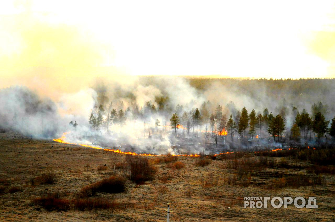 За выходные рязанским пожарным пришлось 393 раза тушить сухую траву