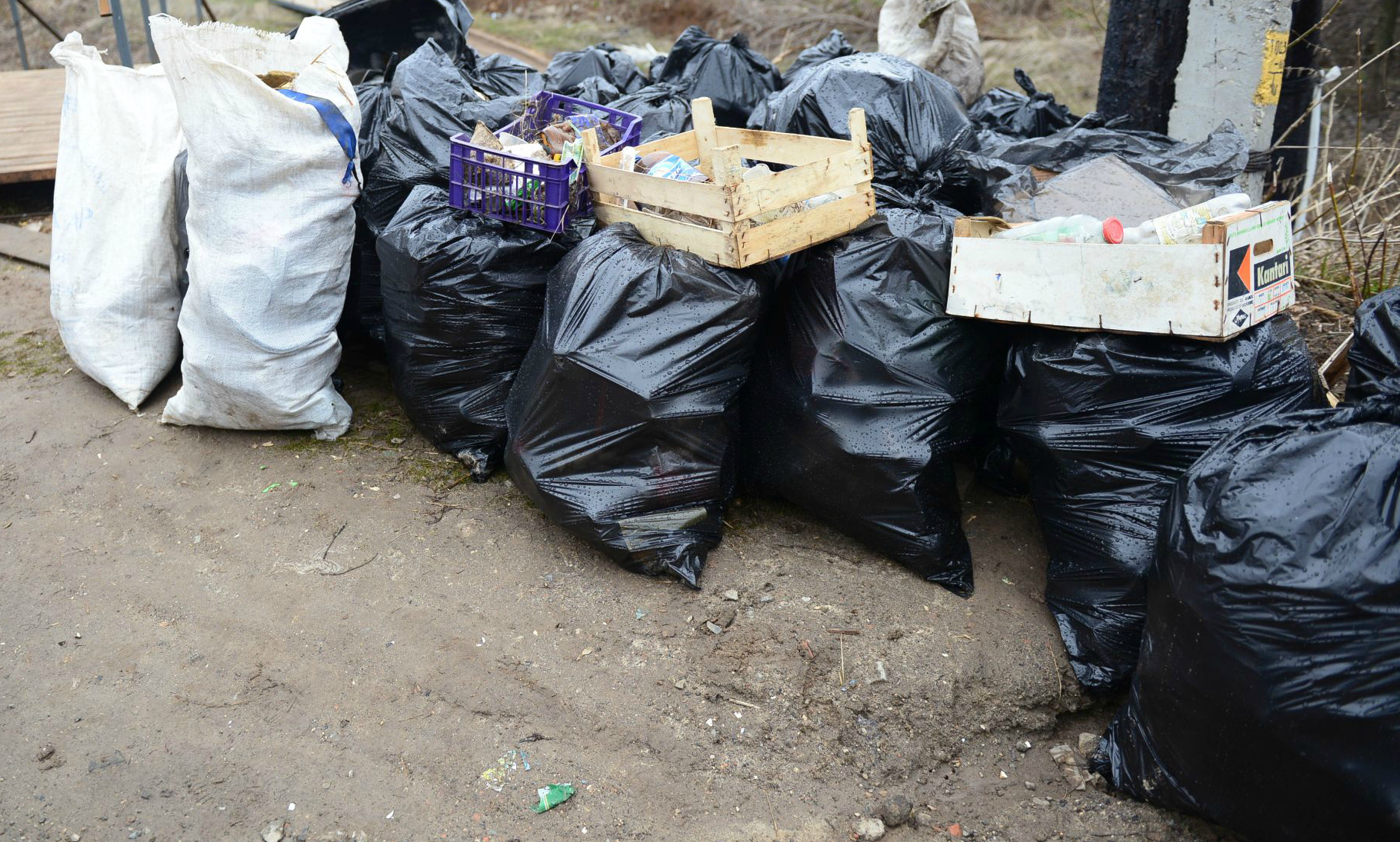 Народная жалоба - в поселке Ласковском царит хаос в системе вывоза мусора