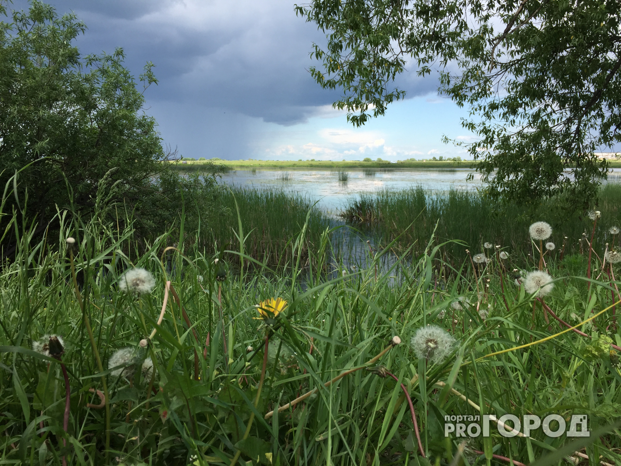 12 июня День России - какой будет погода в Рязани?