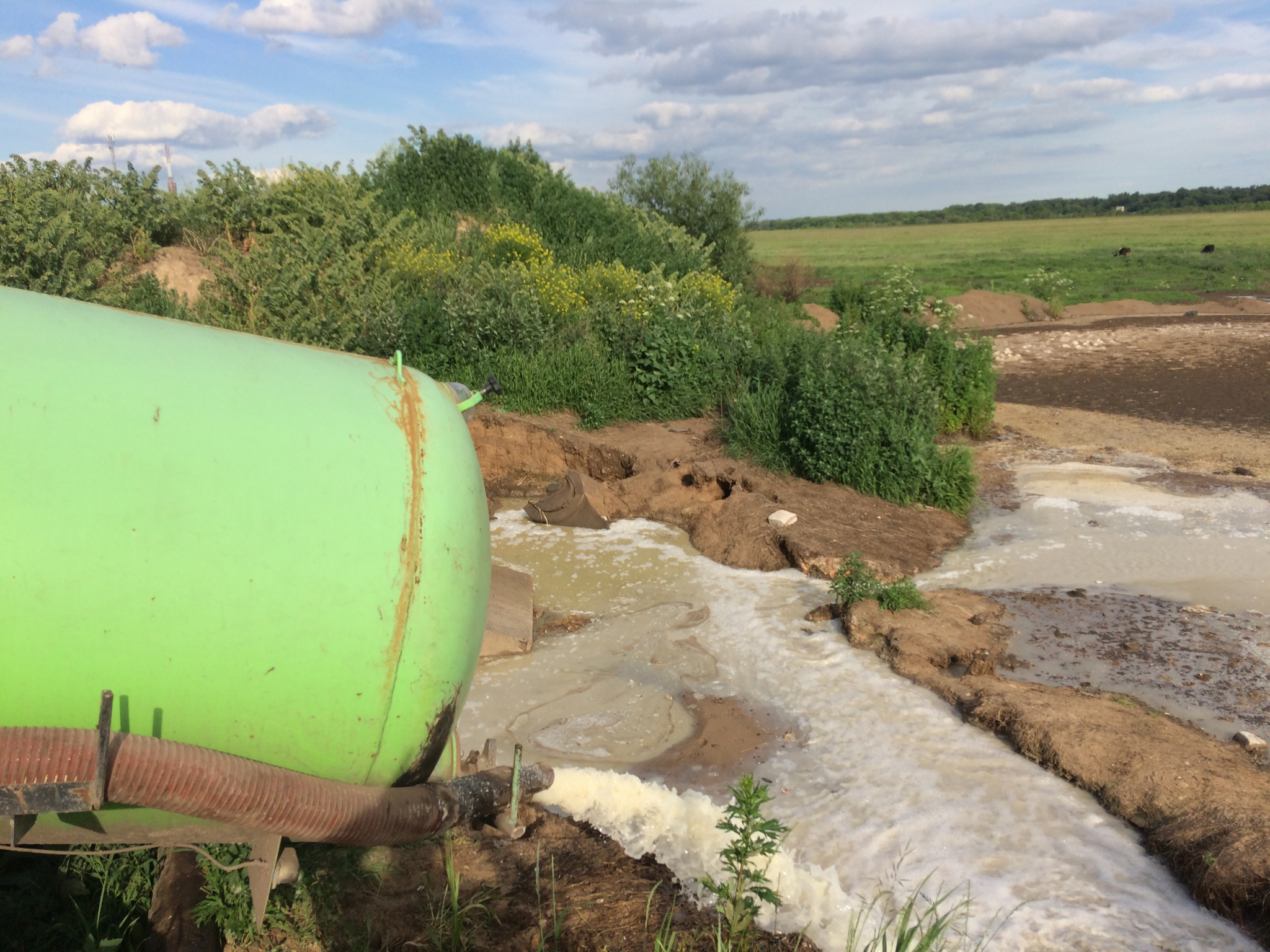 В Рязанской области отходы незаконно выбрасывались в реку
