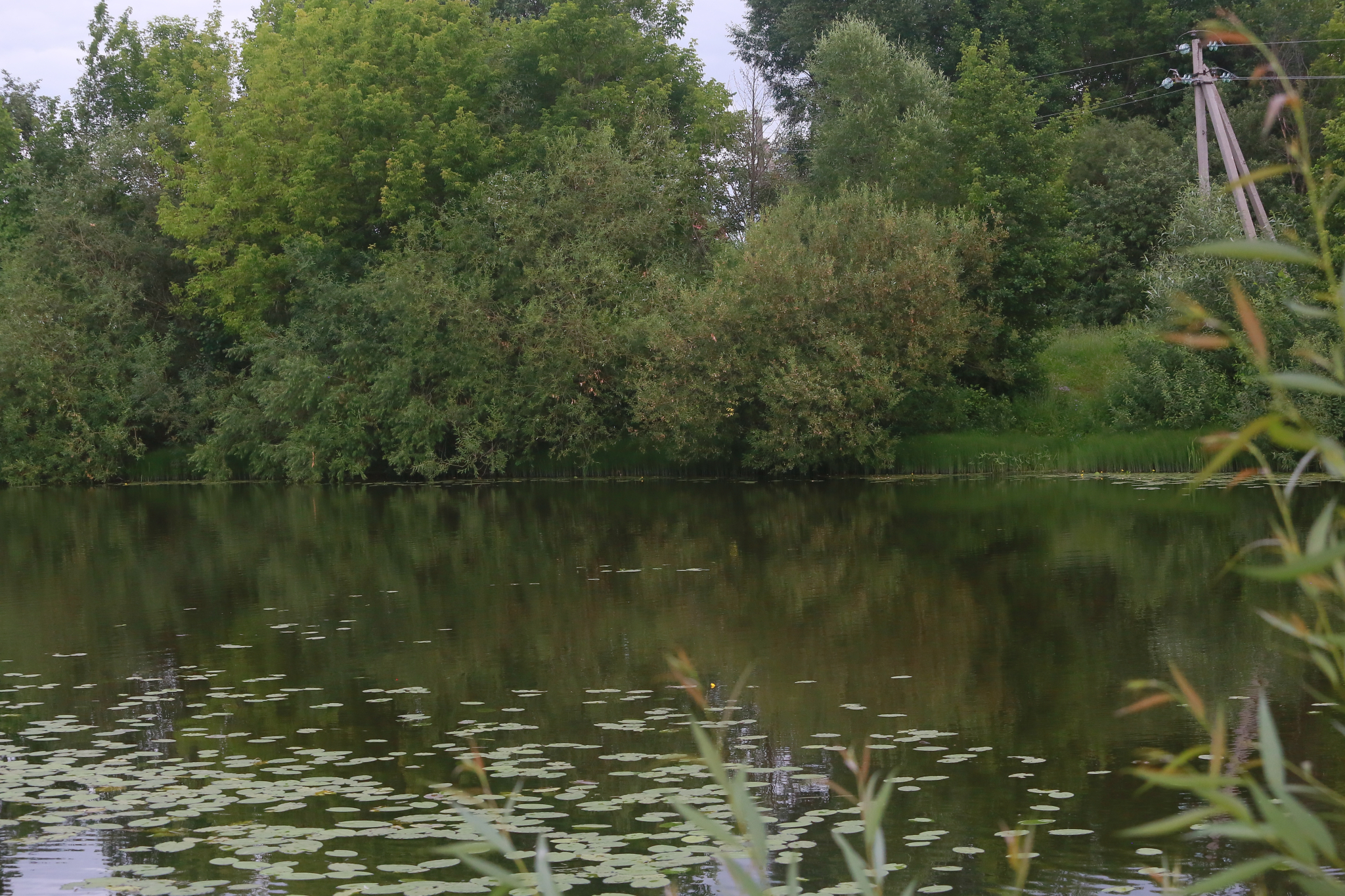 В Рязани на Ореховом озере утонула девочка