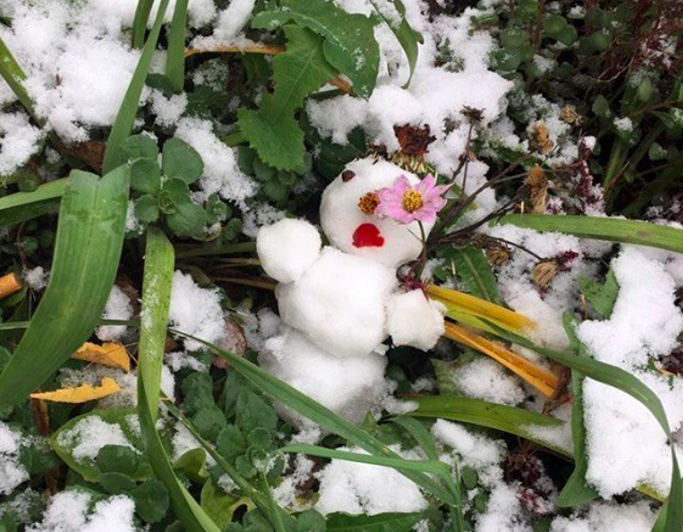 Снег в Instagram Рязани - первый снеговик уже вылеплен!