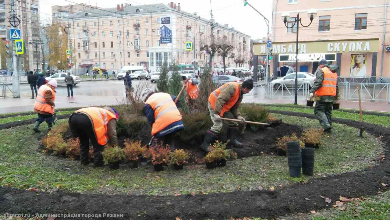 260 молодых деревьев и кустов посадили на площади Победы