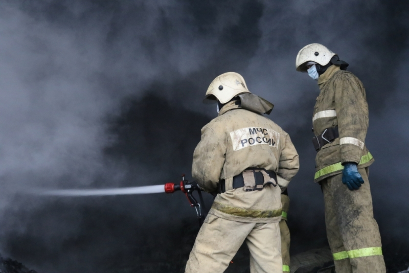 На окраине Рязани произошел крупный пожар - фоторепортаж