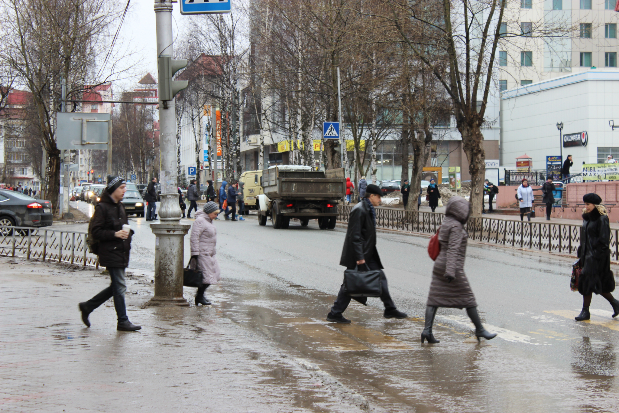 В России для водителей увеличился штраф за непропущенных пешеходов