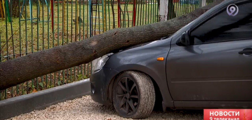 На улице Халтурина из-за ремонта дороги дерево рухнуло на автомобиль