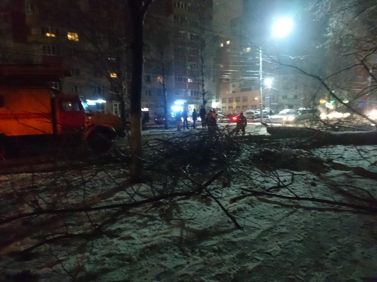 Фото-факт: на Народном бульваре рухнуло дерево