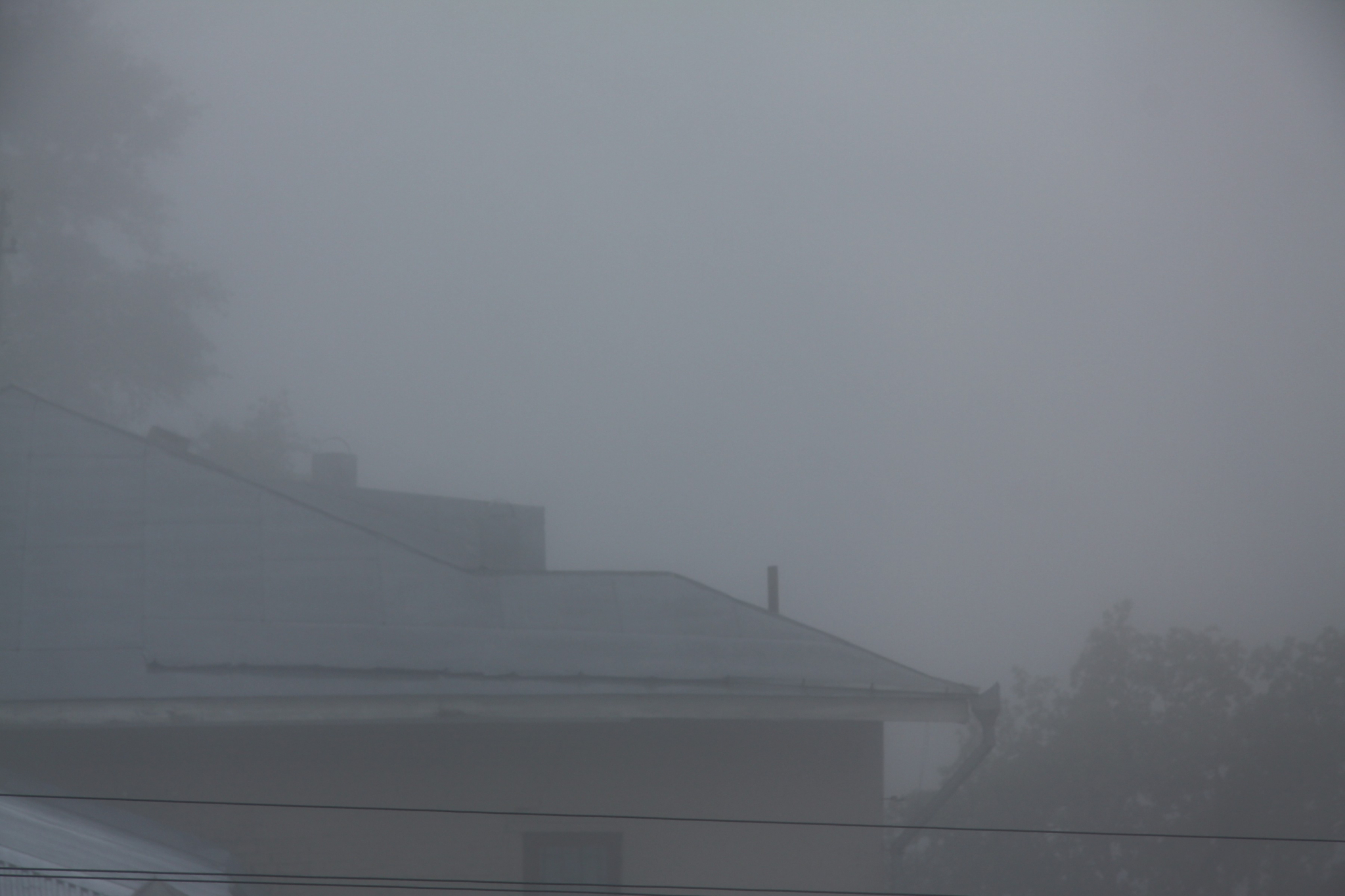 МЧС предупреждает - в Рязанской области ожидается туман