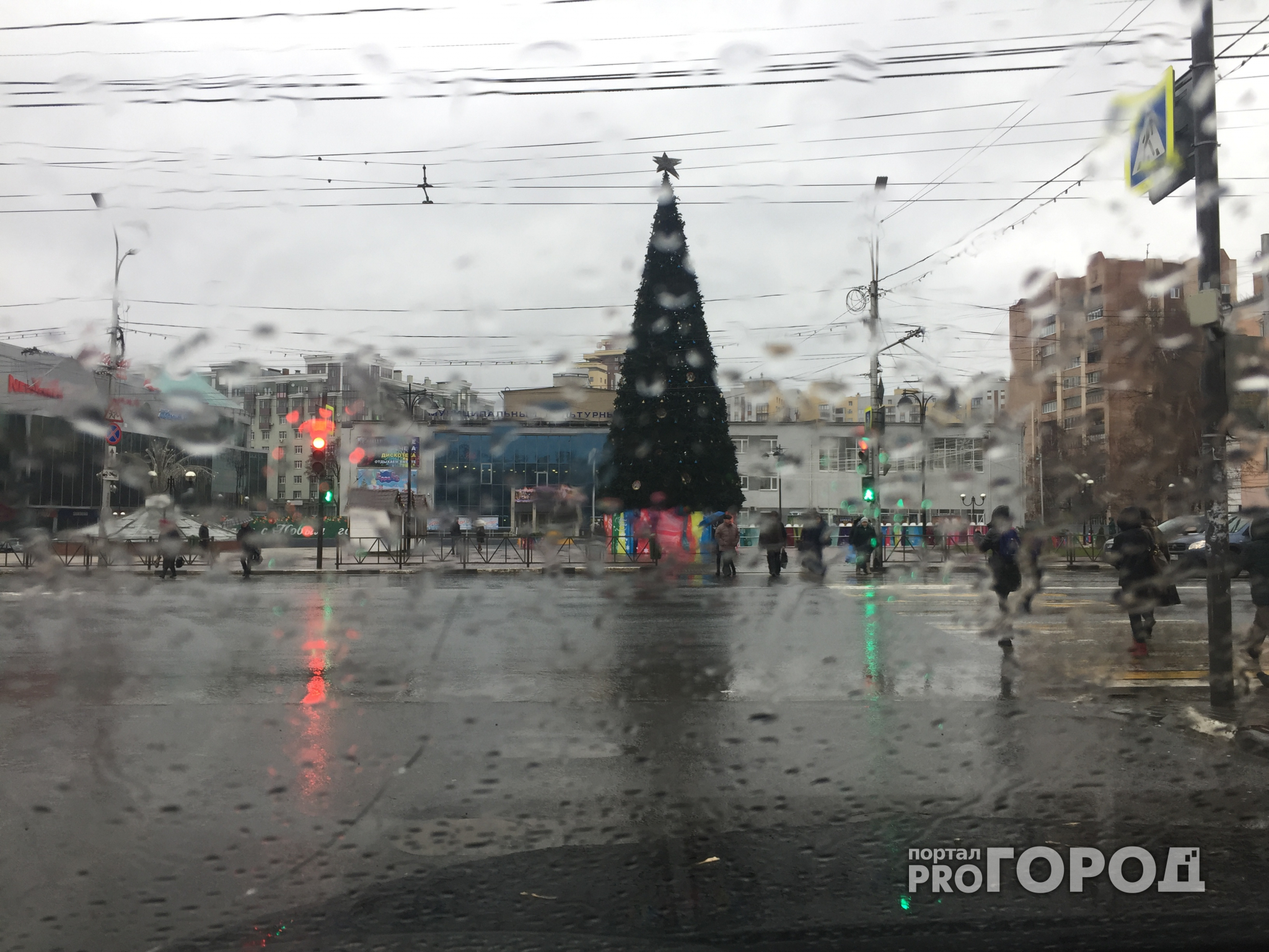 Рязанские синоптики предупредили об аномальной погоде в Новый год