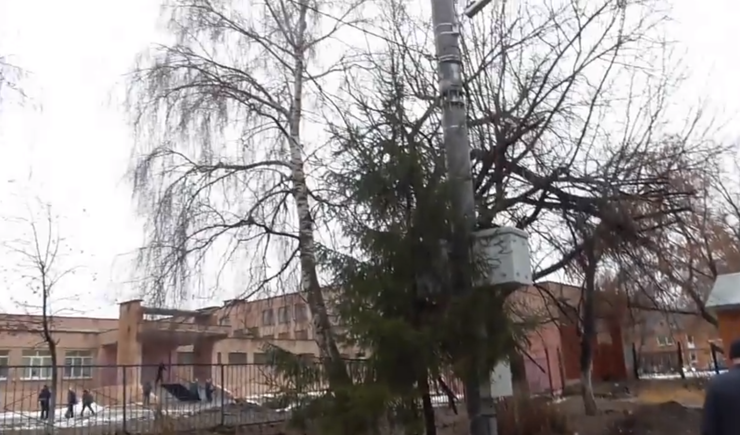 В Рязани сотовые операторы устанавливают вышки неподалеку от школ: Опасно ли это