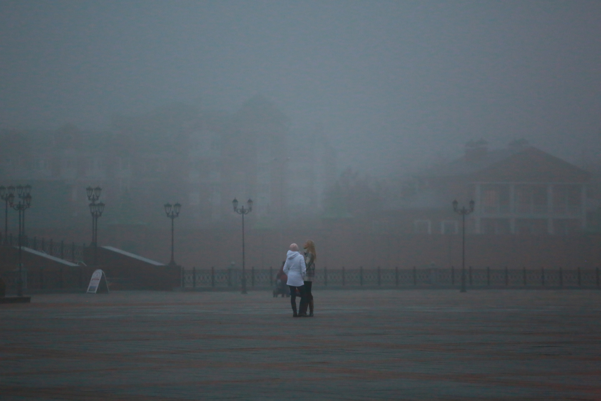МЧС предупреждает - из-за тумана в Рязани ухудшится видимость на дорогах