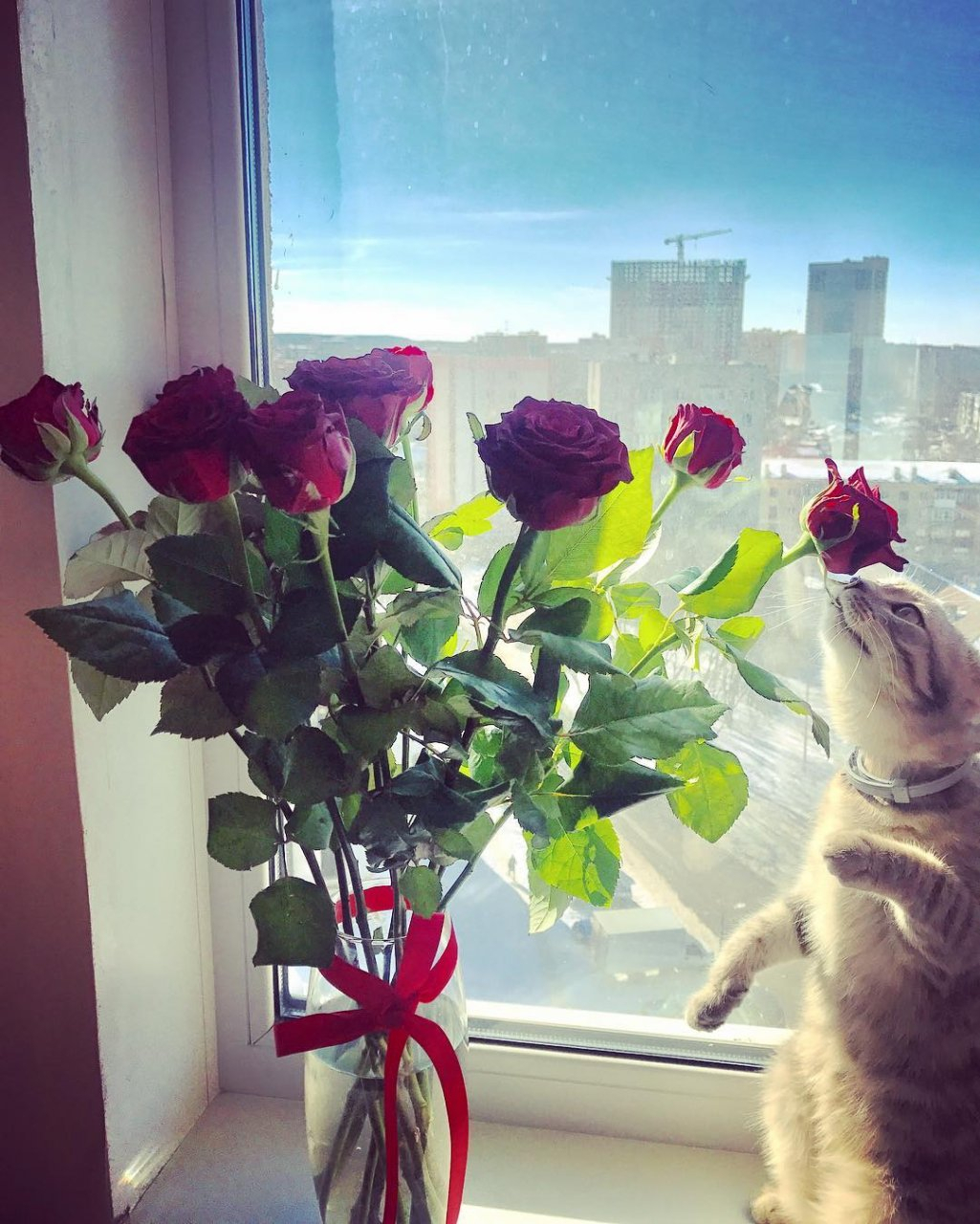 Instagram-подборка самых необычных подарков, которые получили рязанки на 8 марта