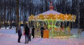 В Рязанской области ожидается аномальное потепление