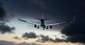 Пассажирский Boeing подал сигнал тревоги и начал снижаться над Рязанской областью