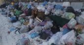 Не вывозят три недели: рязанцы жалуются на свалку в посёлке Строитель
