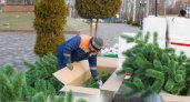До конца недели в Рязани установят новогодние ели